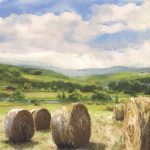 Pastoral vista Chenango
Medium: Watercolor-
transparent and opaque
Size: 17"x 14." Matted and Framed
$ 385.00